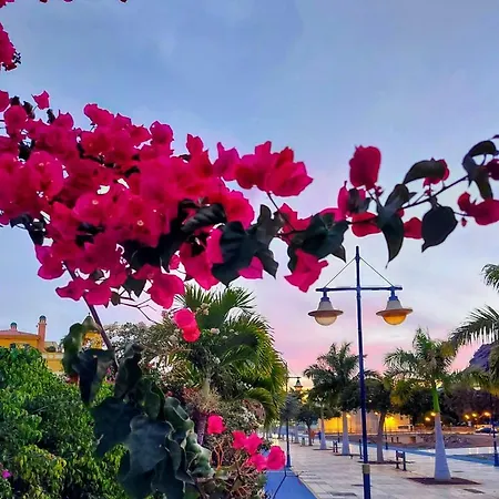 Vv Faro Apartment Puerto De Mogan